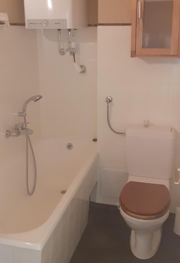 Perfect Day Apartment バート・ミッテルンドルフ エクステリア 写真